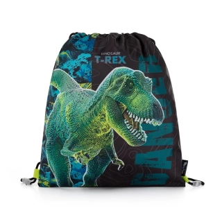 Vrecko na prezúvky KARTON Prémium Dinosaurus